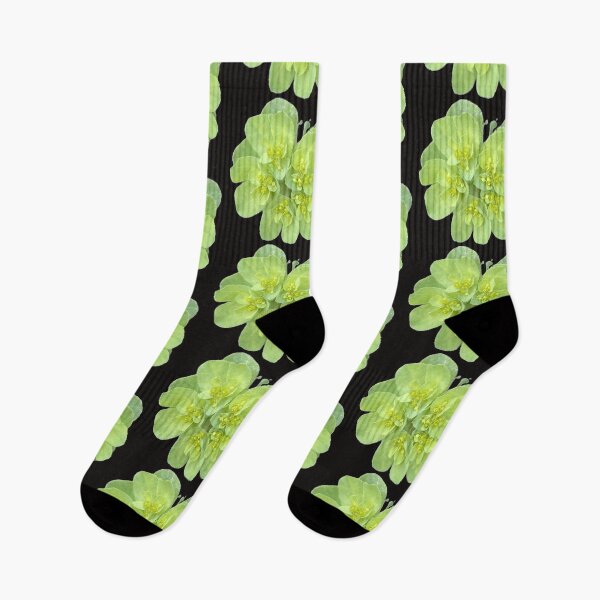 Item preview, Isolated Green Euphorbia Spurge Flower Cluster Macro Cutout designed and sold by BalkanBloom.