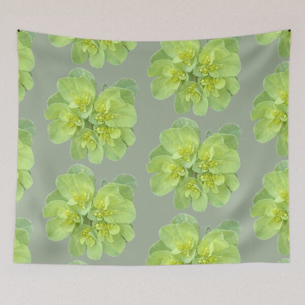 Item preview, Isolated Green Euphorbia Spurge Flower Cluster Macro Cutout designed and sold by BalkanBloom.