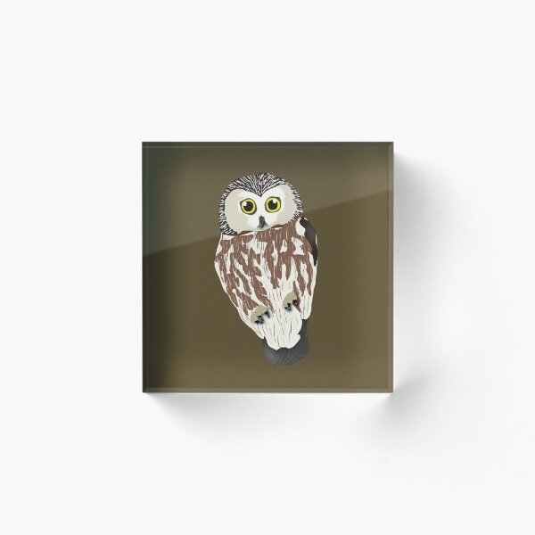 Item preview, Northern Saw-Whet Owl designed and sold by BDBirds.