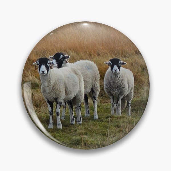 Item preview, Wharfedale Crew designed and sold by Kat Simmons.