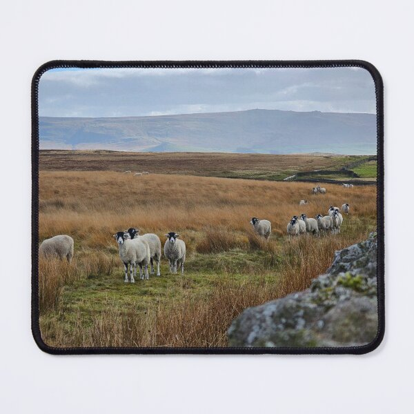 Item preview, Wharfedale Crew designed and sold by Kat Simmons.