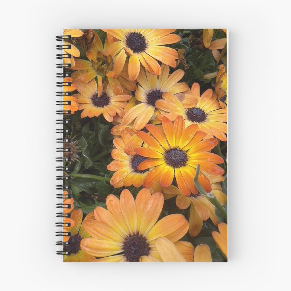 Item preview, Orange Daisies designed and sold by Betsy Phillips.
