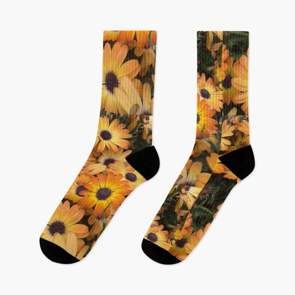 Item preview, Orange Daisies designed and sold by Betsy Phillips.