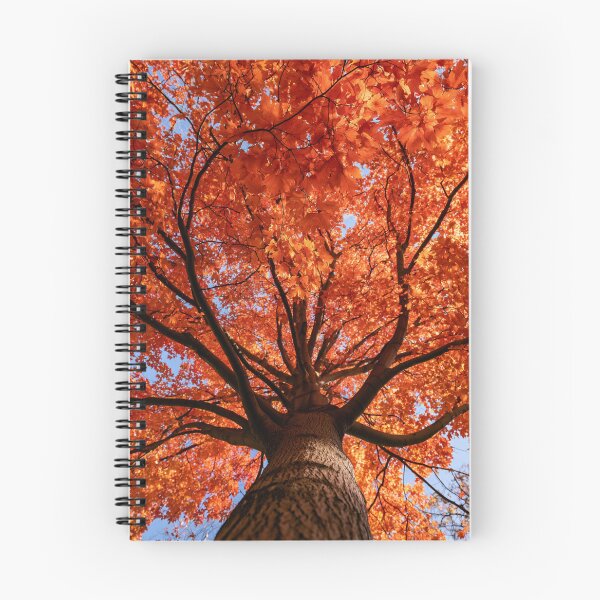 Item preview, Majestic Autumn Maple Tree Glowing Beneath Brilliant Blue Sky designed and sold by EL-Lebedenko.