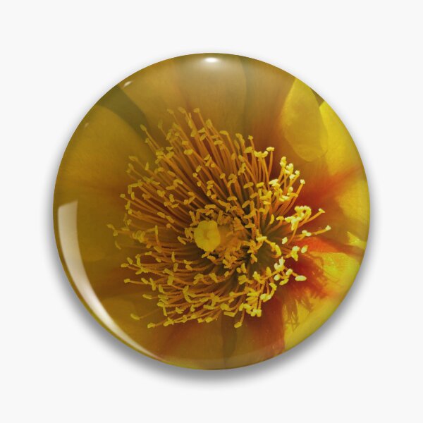 Item preview, Yellow Prickly Pear Cactus Flower Photo designed and sold by NikaNavi.