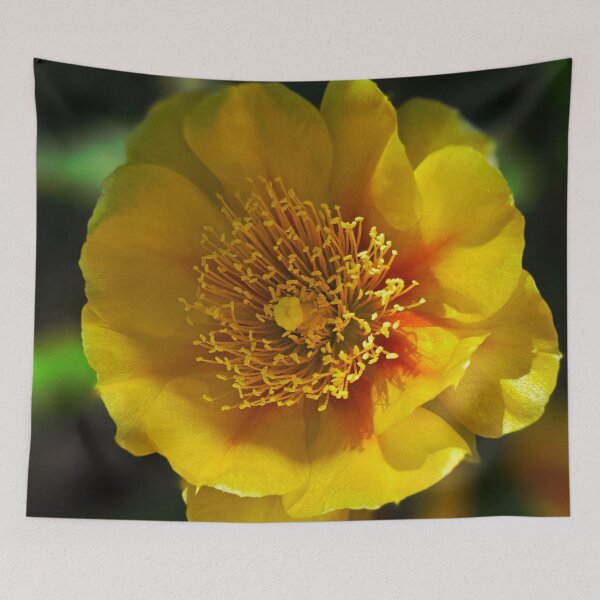 Item preview, Yellow Prickly Pear Cactus Flower Photo designed and sold by NikaNavi.