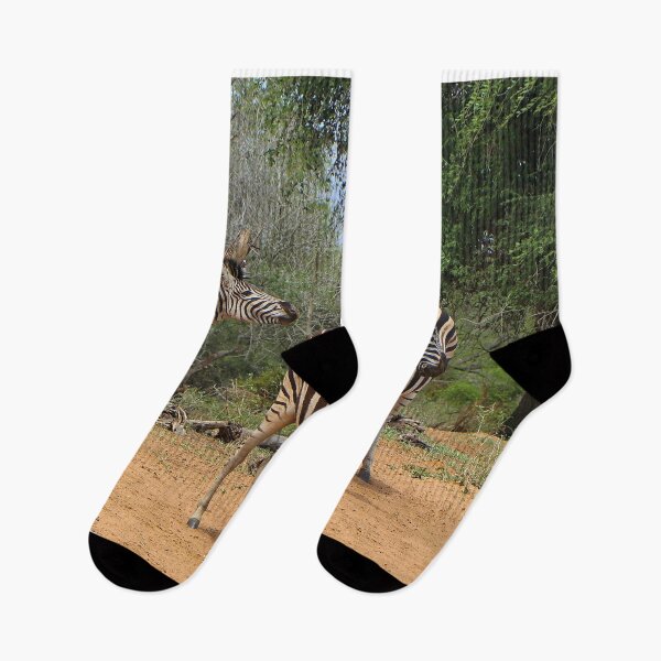 Item preview, Three African zebras designed and sold by FranWest.