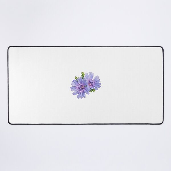 Item preview, Chicory Herb designed and sold by KenVulf.