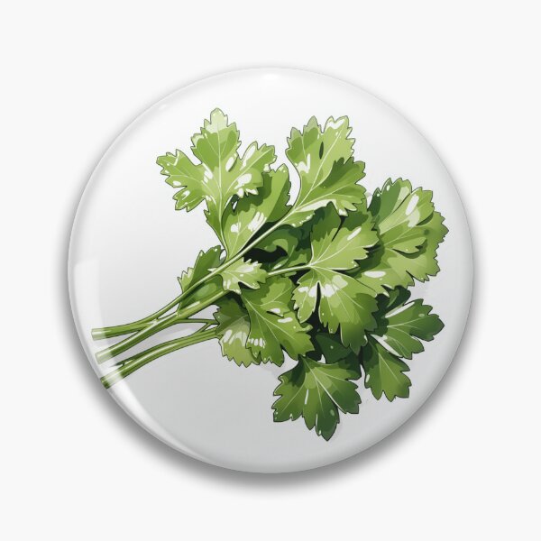 Item preview, Cilantro Herb designed and sold by KenVulf.