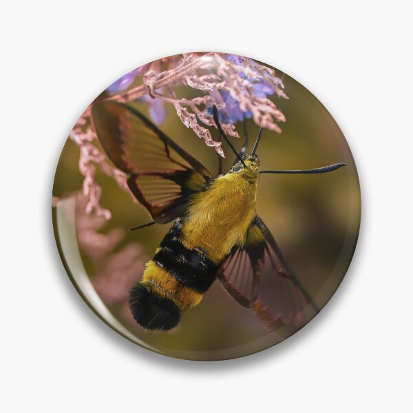 Item preview, Hummingbird Moth designed and sold by emilyxneill.