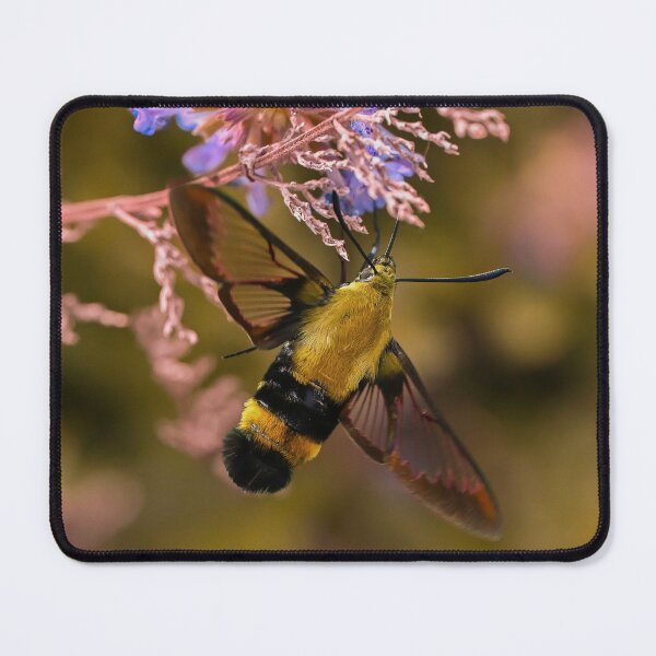 Item preview, Hummingbird Moth designed and sold by emilyxneill.
