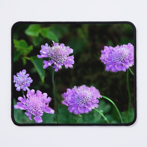 Item preview, Purple Beauties designed and sold by heatherfriedman.