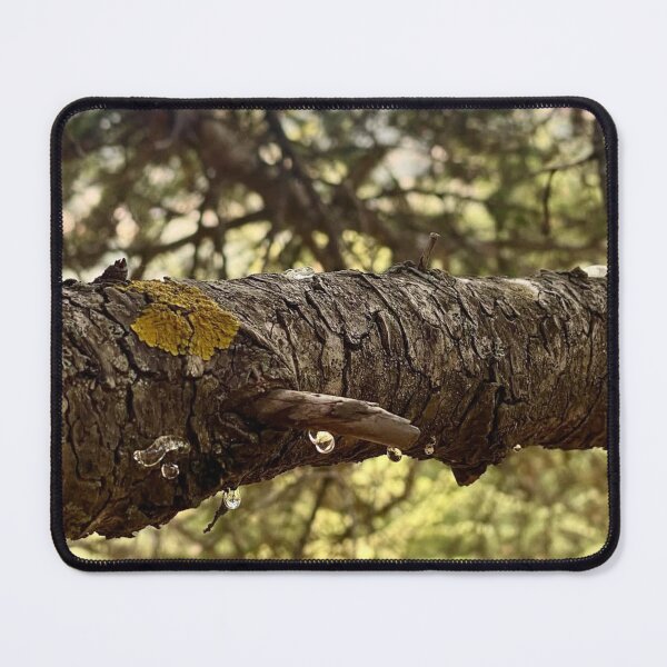 Item preview, Healing Cbc News Forest Tones designed and sold by Tonigard.