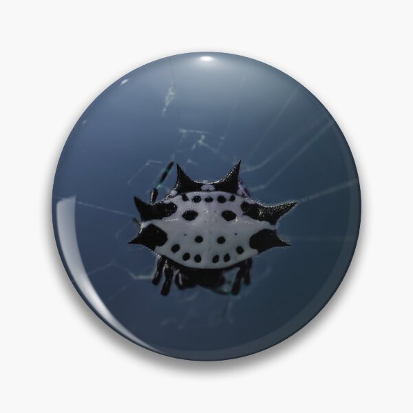 Item preview, Spooky Spiny Backed Orb Weaver designed and sold by emilyxneill.