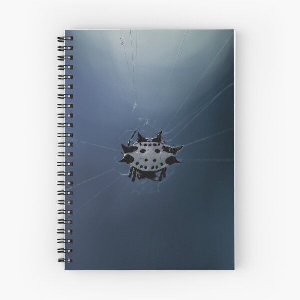 Item preview, Spooky Spiny Backed Orb Weaver designed and sold by emilyxneill.