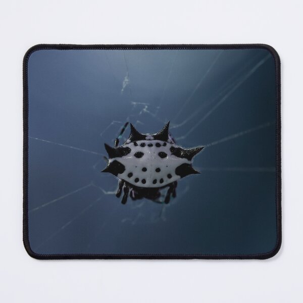 Item preview, Spooky Spiny Backed Orb Weaver designed and sold by emilyxneill.
