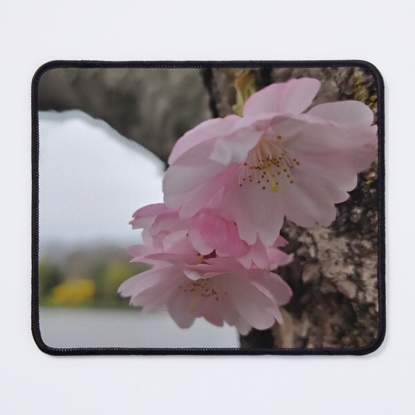 Item preview, Sleek Flowers designed and sold by SCTBUFFALOPHOTO.