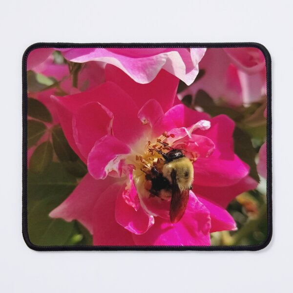 Item preview, Gifts for a Bee designed and sold by SCTBUFFALOPHOTO.