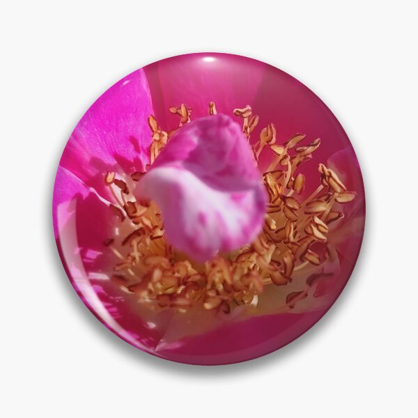 Item preview, Color Vault designed and sold by SCTBUFFALOPHOTO.