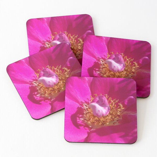 Item preview, Color Vault designed and sold by SCTBUFFALOPHOTO.