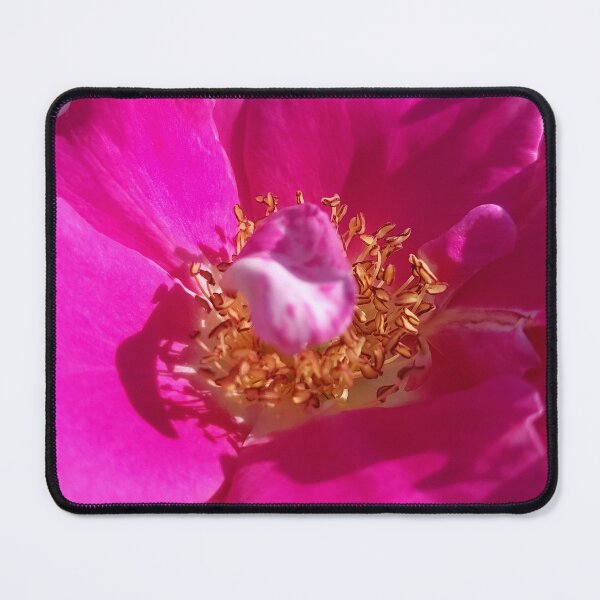 Item preview, Color Vault designed and sold by SCTBUFFALOPHOTO.