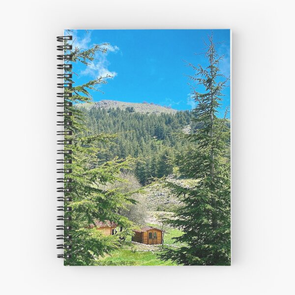 Item preview, Peaceful Expedia Inc dMint Energy designed and sold by Tonigard.
