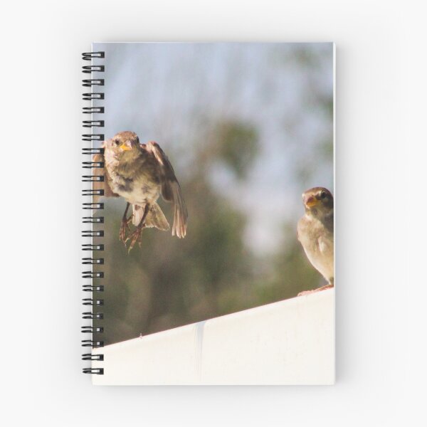 Item preview, Sparrows designed and sold by Birds & Beans Photography.