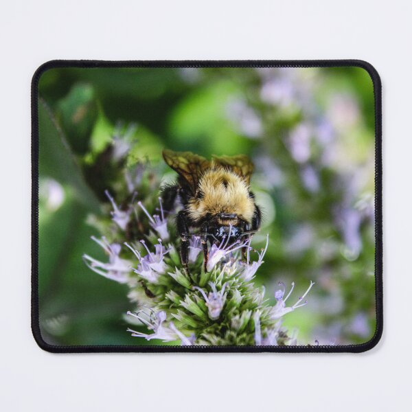 Item preview, Franco the Bumblebee designed and sold by Birds & Beans Photography.