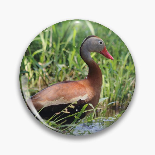 Item preview, Wild Duck designed and sold by Olivia Plasencia.