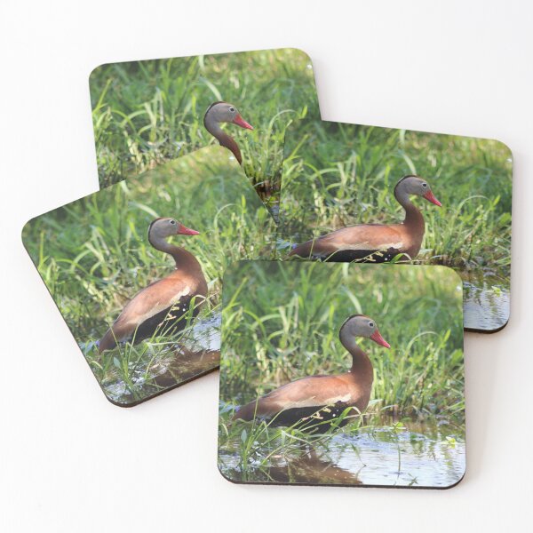Item preview, Wild Duck designed and sold by Olivia Plasencia.