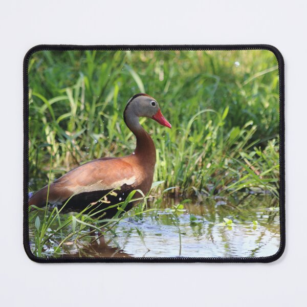 Item preview, Wild Duck designed and sold by Olivia Plasencia.