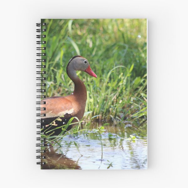 Item preview, Wild Duck designed and sold by Olivia Plasencia.