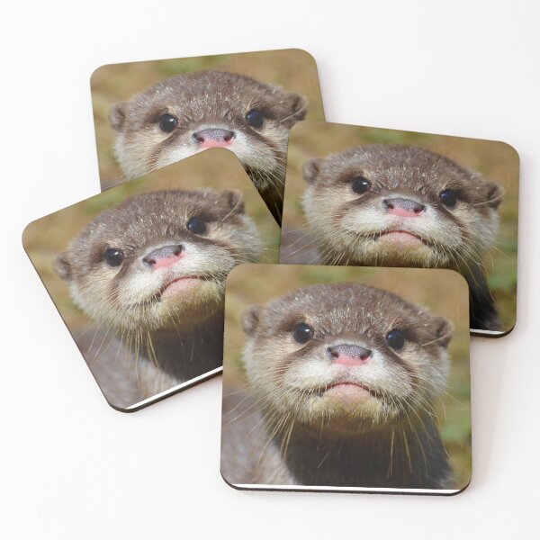 Item preview, Hello Kitt! designed and sold by Neil MacNeill.