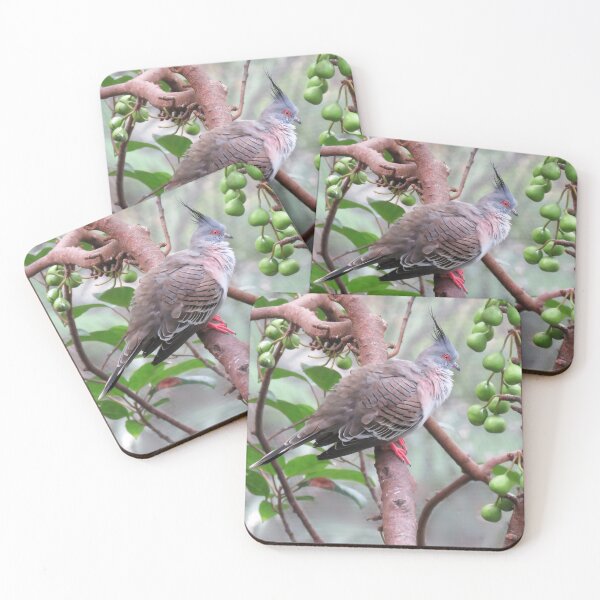 Item preview, Crested Pigeon designed and sold by Linda Walsh.