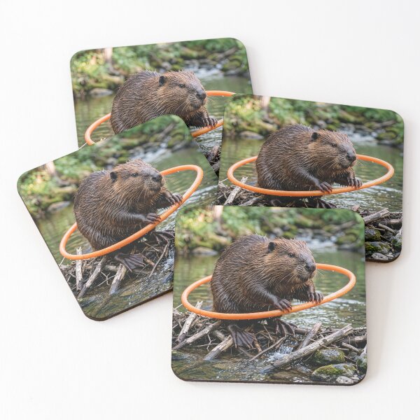 Item preview, Beaver Is a Hula Hoopin' Fool designed and sold by Tridentulus.
