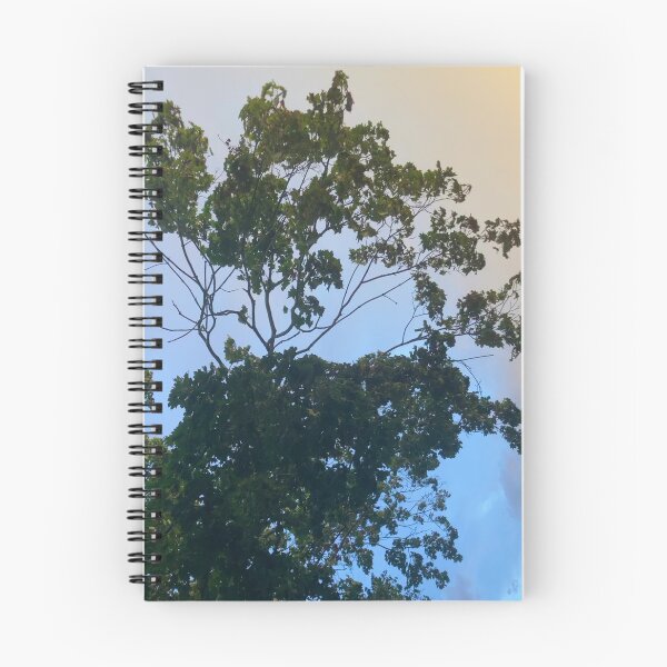 Item preview, Branches Against the Sky  designed and sold by Amanda1775.