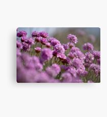 Purple haze Metal Print