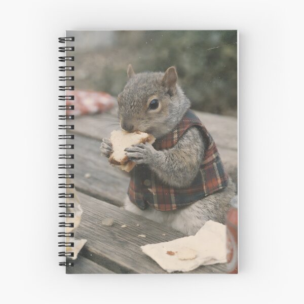 Item preview, Squirrel Eating Cheese Wall Art | Cute Woodland Animal Food Portrait | Retro Photography Aesthetic Vintage Print designed and sold by PaintedPixels01.