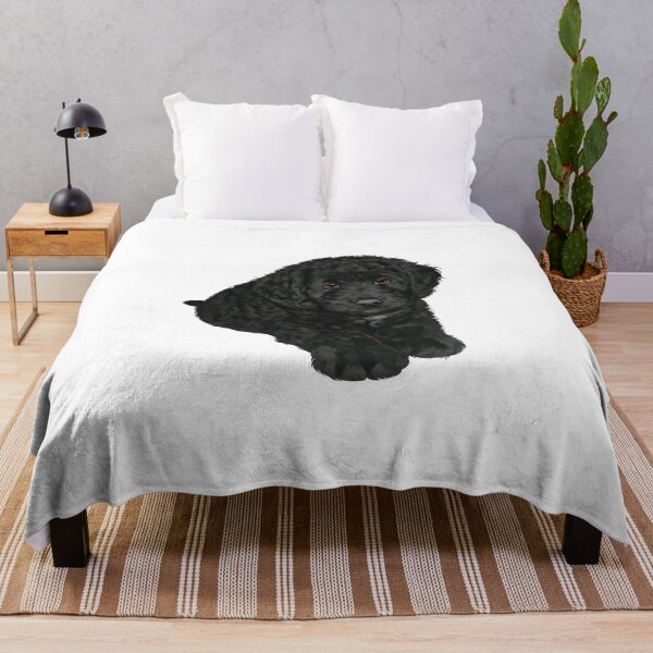Item preview, Cute Black Labradoodle Puppy Illustration designed and sold by onebystudio.