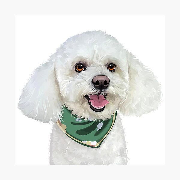 Item preview, Cute White Poodle Bichon Dog Bandana Illustration designed and sold by onebystudio.