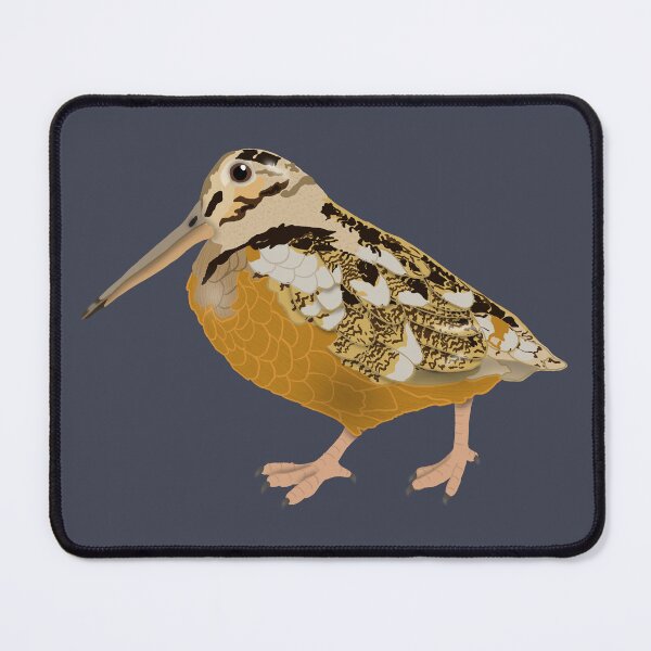 Item preview, Timberdoodle (American Woodcock) designed and sold by BDBirds.