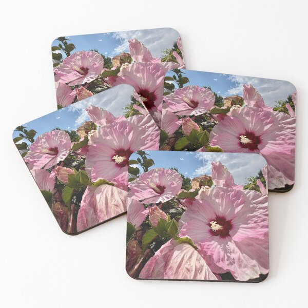 Item preview, Pink Hibiscus Reaching Up To The Sky designed and sold by Betsy Phillips.