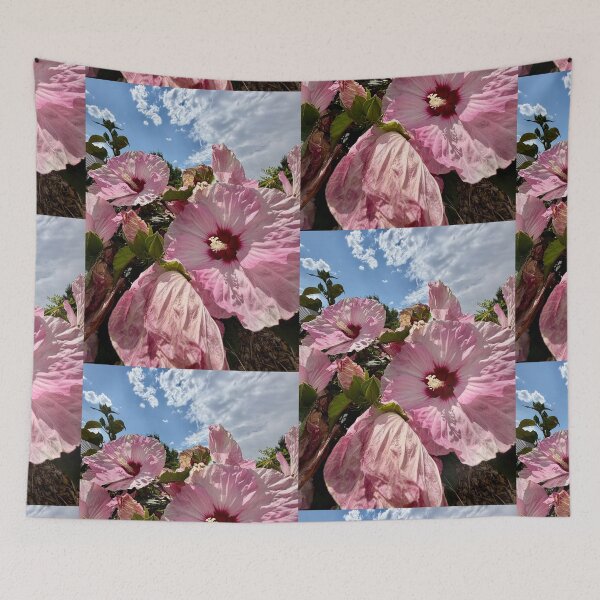 Item preview, Pink Hibiscus Reaching Up To The Sky designed and sold by Betsy Phillips.