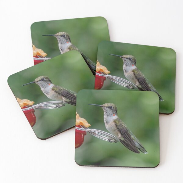 Item preview, A Young Male Hummingbird designed and sold by Lanis Rossi.