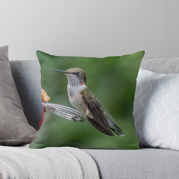 Item preview, A Young Male Hummingbird designed and sold by Lanis Rossi.