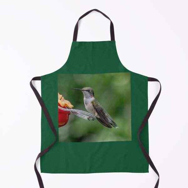 Item preview, A Young Male Hummingbird designed and sold by Lanis Rossi.