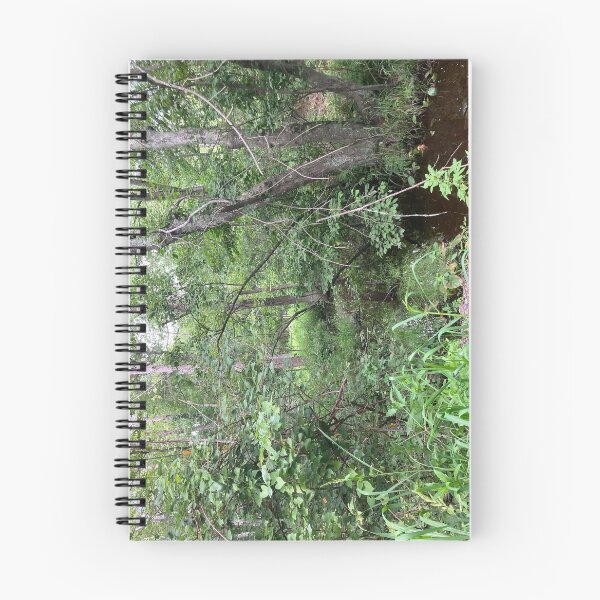 Item preview, Swampy Forest  designed and sold by Amanda1775.