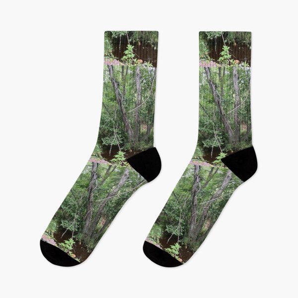 Item preview, Swampy Forest  designed and sold by Amanda1775.