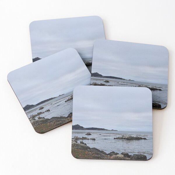 Item preview, Seabirds on Rocks, Monterey, CA designed and sold by DreamNewDreams.