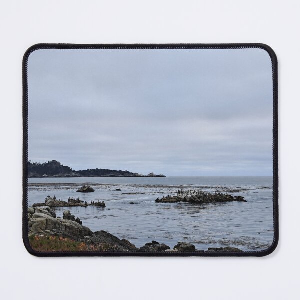 Item preview, Seabirds on Rocks, Monterey, CA designed and sold by DreamNewDreams.